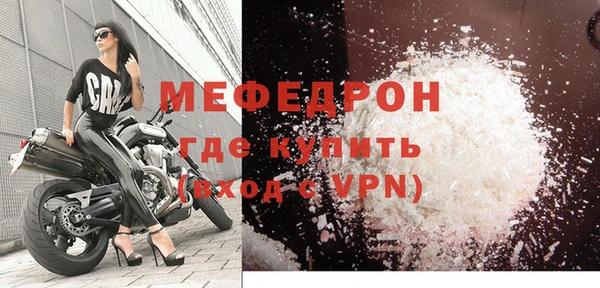 сатива Каменка