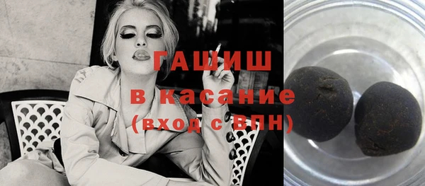 сатива Каменка