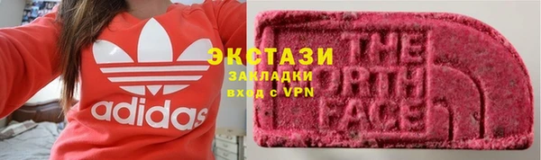 сатива Каменка