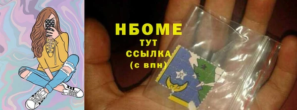сатива Каменка