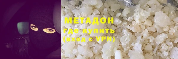 сатива Каменка