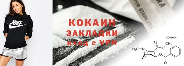 сатива Каменка