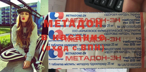 сатива Каменка