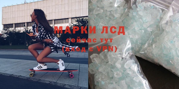 сатива Каменка