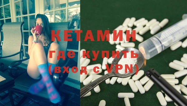 сатива Каменка