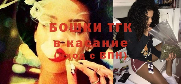 сатива Каменка