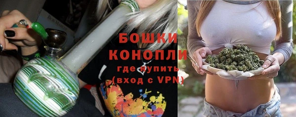 сатива Каменка