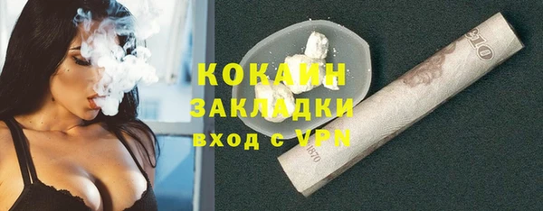 сатива Каменка
