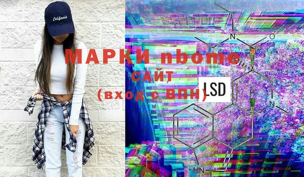 сатива Каменка
