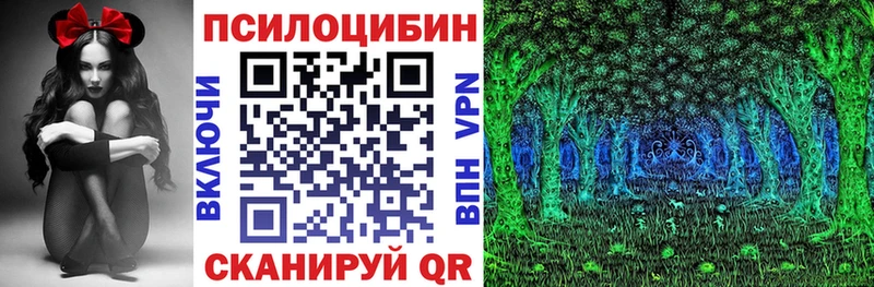 Галлюциногенные грибы GOLDEN TEACHER  Купить  Долинск 